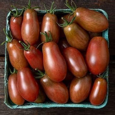 بذر گوجه فرنگی شکلاتی گلابی (بسته 10 عددی) کد 928