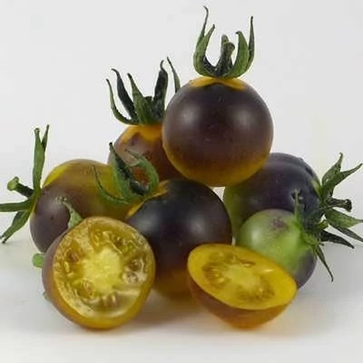 بذر گوجه گیلاسی توت طلایی آبی (بسته 10 عددی) کد 1519