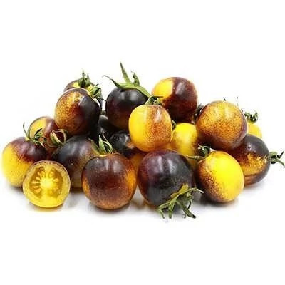 بذر گوجه گیلاسی توت طلایی آبی (بسته 10 عددی) کد 1519