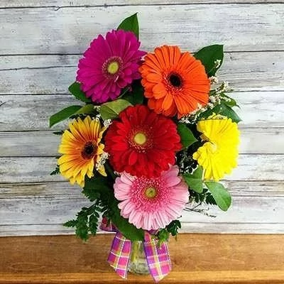 بذر گل ژربرا الوان (بسته 10 عددی) کد 1708