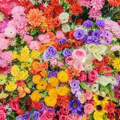 بذر میکس گل های وحشی (بسته 1 گرمی) کد 1598