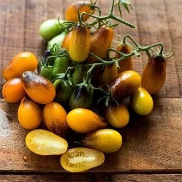 بذر گوجه گلابی زنبور عسل (بسته 10 عددی) کد 186