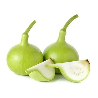 بذر کدو بمبی (بسته 5 عددی) کد 1219