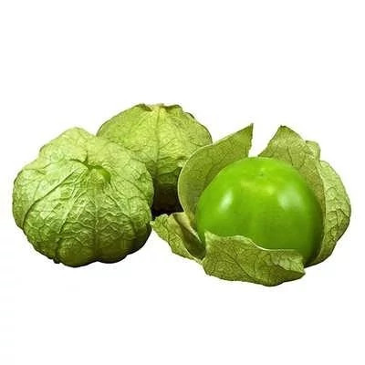 بذر فیسالیس سبز (بسته 10 عددی) کد 975