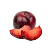 بذر آلوچه جنگلی (بسته 5 عددی) کد 1700