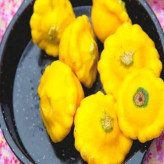 بذر کدو ستاره ای میکس (بسته 10 عددی) کد 2050