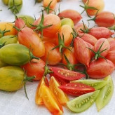 بذر گوجه زیتونی ببری میکس (بسته 25 عددی) کد 2099