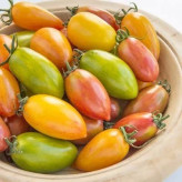 بذر گوجه زیتونی ببری میکس (بسته 25 عددی) کد 2099