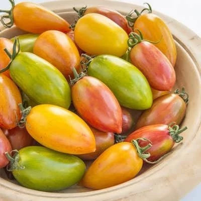 بذر گوجه زیتونی ببری میکس (بسته 25 عددی) کد 2099