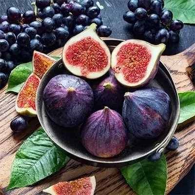 بذر انجیر سیاه (بسته 10 عددی) کد 1119
