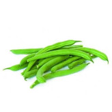 بذر لوبیا سبز (بسته 10 گرمی) کد 154