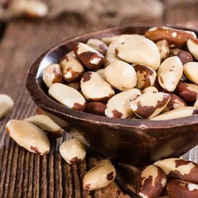 بذر درخت آجیل برزیلی (بسته 2 عددی) کد 858