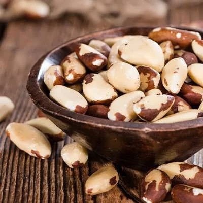 بذر درخت آجیل برزیلی (بسته 2 عددی) کد 858