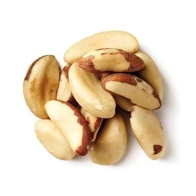 بذر درخت آجیل برزیلی (بسته 2 عددی) کد 858