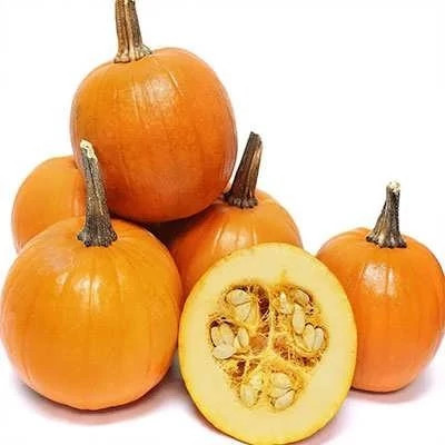 بذر کدو پای نارنجی (بسته 8 عددی) کد 2054