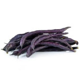 بذر لوبیا بنفش کارمینات (بسته 20 عددی) کد 157
