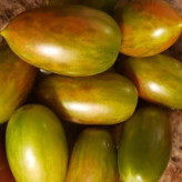 بذر گوجه زیتونی ببری زرد درختی (بسته 15 عددی) کد 2082