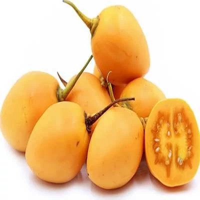 بذر درخت تاماریلو طلایی (بسته 25 عددی) کد 2073