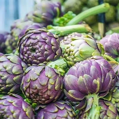 بذر آرتیشو بنفش رومانسکو (بسته 10 عددی) کد 1120