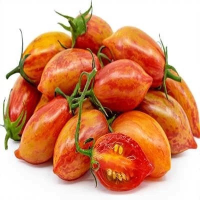بذر گوجه زیتونی ببری قرمز درختی (بسته 25 عددی) کد 2083