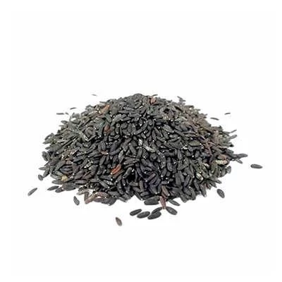 بذر بالنگو (بسته 1 گرمی) کد 080