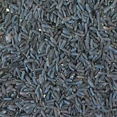 بذر بالنگو (بسته 1 گرمی) کد 080