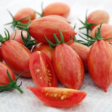 بذر گوجه زیتونی سیاه تایگر (بسته 10 عددی) کد 1487