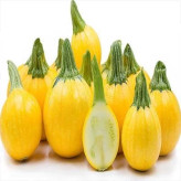 بذر کدو خورشتی گرد زرد (بسته 5 عددی) کد 2045