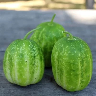 بذر خیار سیب سبز ریچارد (بسته 10 عددی) کد 140