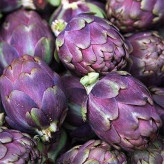 بذر آرتیشو بنفش روماگنا (بسته 10 عددی) کد 810