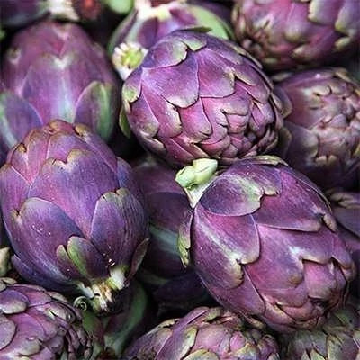 بذر آرتیشو بنفش روماگنا (بسته 10 عددی) کد 810