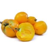 بذر گوجه قلبی طلایی درختی (بسته 15 عددی) کد 752