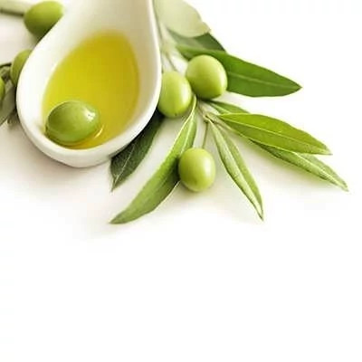 بذر درخت زیتون سبز (بسته 10 عددی) کد 1210