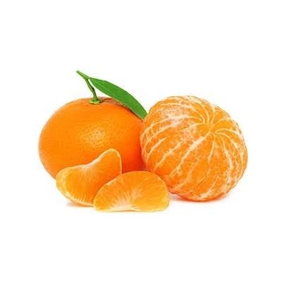 بذر نارنگی (بسته 10 عددی) کد 940