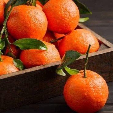 بذر نارنگی (بسته 10 عددی) کد 940
