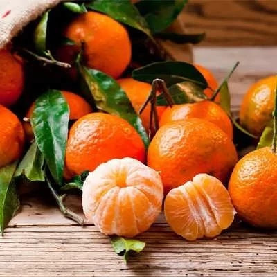 بذر نارنگی (بسته 10 عددی) کد 940