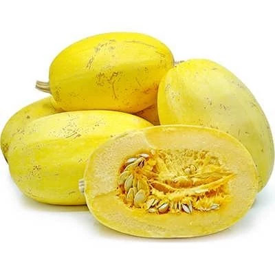 بذر کدو اسپاگتی (بسته 5 عددی) کد 1606