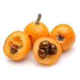 بذر درخت ازگیل ژاپنی (بسته 5 عددی) کد 283