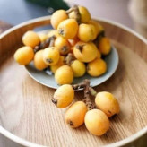 بذر درخت ازگیل ژاپنی (بسته 5 عددی) کد 283