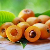 بذر درخت ازگیل ژاپنی (بسته 5 عددی) کد 283