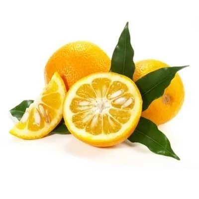 بذر درخت نارنج (بسته 20 عددی) کد 733