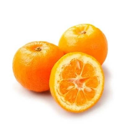 بذر درخت نارنج (بسته 20 عددی) کد 733