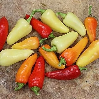 بذر فلفل سانتافه زرد (بسته 10 عددی) کد 641