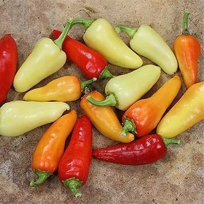 بذر فلفل سانتافه زرد (بسته 10 عددی) کد 641