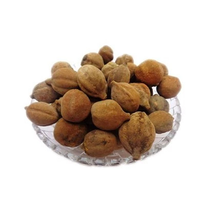 بذر درخت بلیله (بسته 5 عددی) کد 311