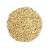 بذر کینوا (بسته 20 گرمی) کد 020