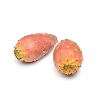 بذر کاکتوس اپونتیا میوه دار نارنجی (بسته 10 عددی) کد 1023