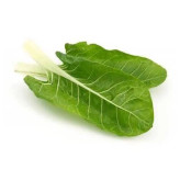 بذر برگ چغندر سفید (بسته 20 گرمی) کد 059