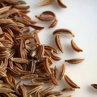 بذر زیره سیاه (بسته 1 گرمی) کد 572