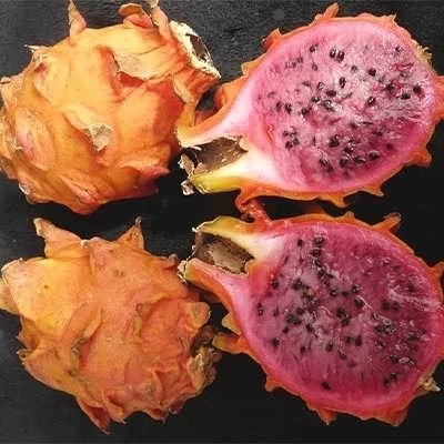 بذر دراگون فروت نارنجی (بسته 5 عددی) کد 777
